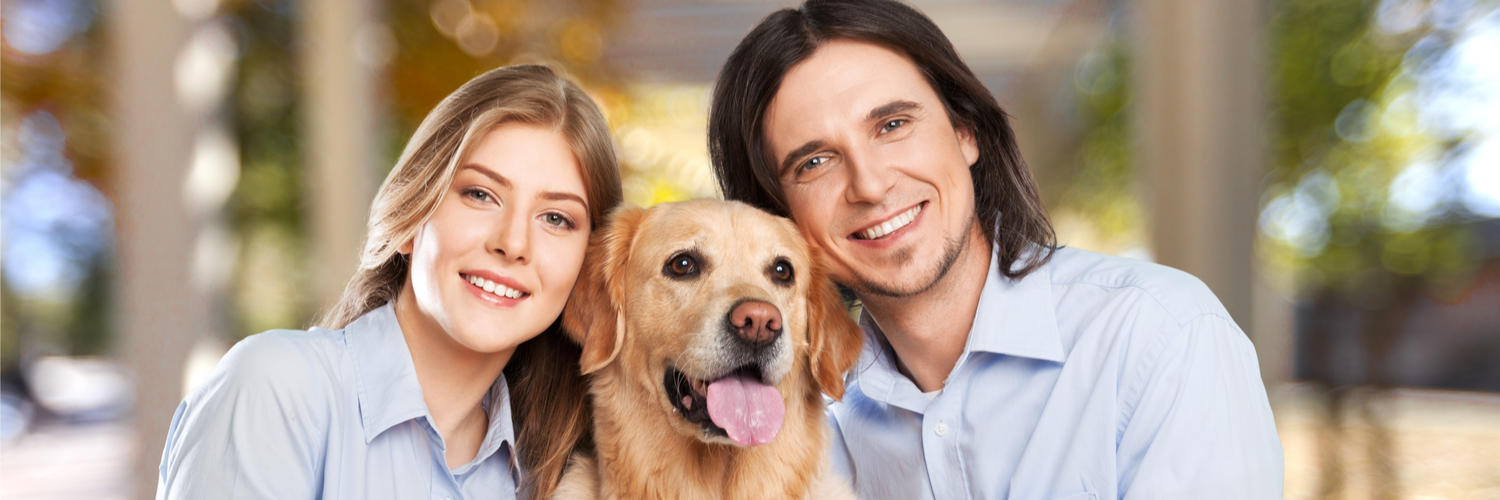 Pet Boarding Insurance in Massachusetts Haberman Insurance Group